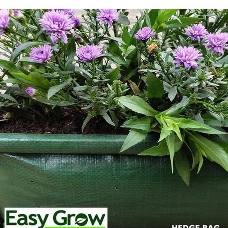 Rabbit_House23 Hedge Bag Size L Merek Easygrow/Pot Planter Pembatas Taman/Hedge Planter Easygrow