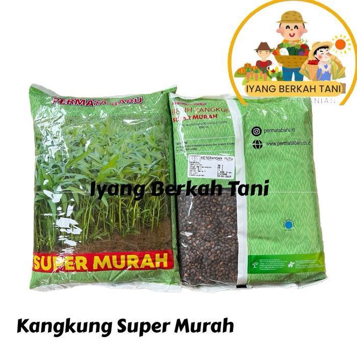 Benih Kangkung Super Murah Kemasan 1 KG - Bibit Kangkung 1 KG