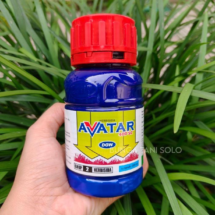 Avatar 400SC - Herbisida Selektif Padi Gogo dan Sawah Natirum Bispiripak 400 g/l, Mengendalikan