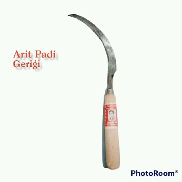 ARIT RUMPUT KECIL/ ARIT PADI MODEL GERIGI