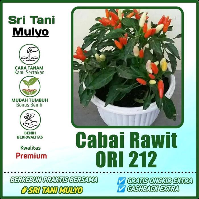 35 BENIH BIJI BIBIT - CABE RAWIT SETAN ORI 212 F1 - REPACK