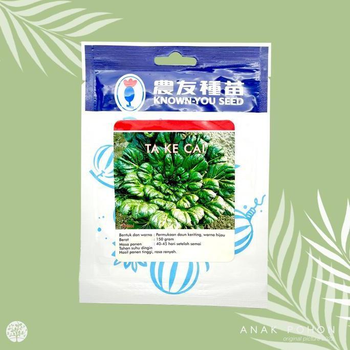 fresh (1 PACK) Benih Sawi Tatsoi Pagoda TA KE CAI 10 Grams - Known You Seed