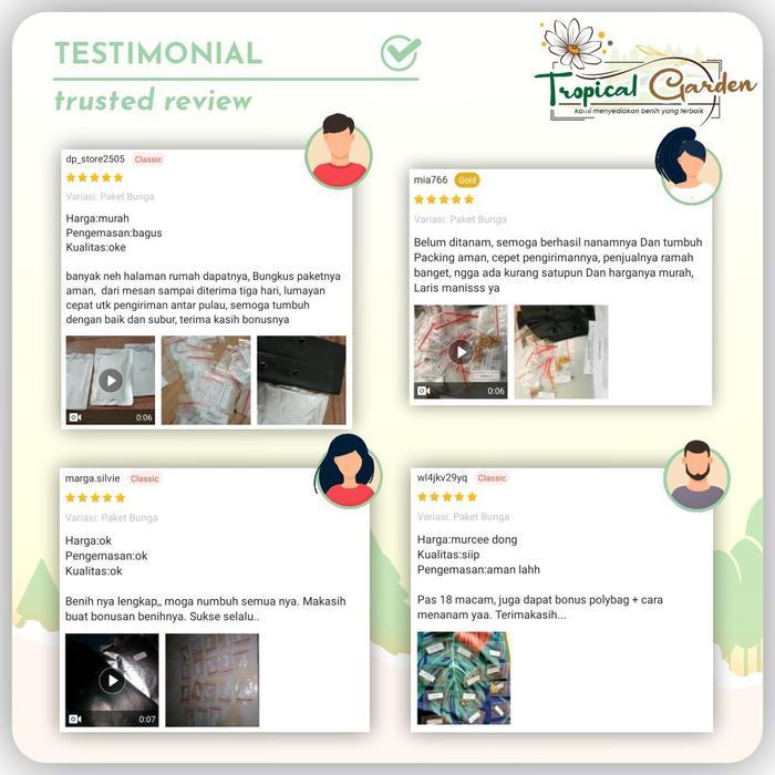 Benih Biji Kemangi Benih Sayuran Unggul Bibit Kemangi COD