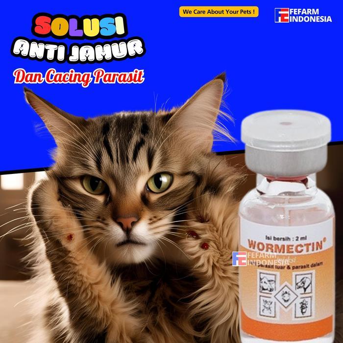 Obat Jamur Kucing 2ml Basmi Parasit Kutu Tungau Kudis FEFARM