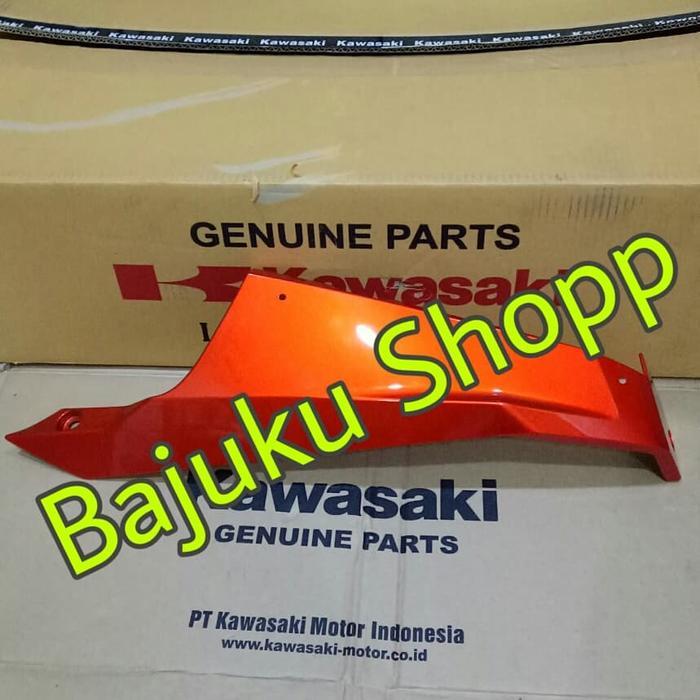 Undercowl Ninja 250Fi 2018