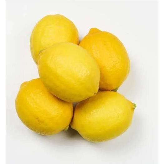 Lemon China/ Lemon Import Murah
