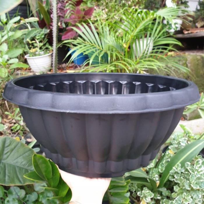 Pot bunga BONSAI ALEXISH DELIMA 35 Pot bonsai bulat besar