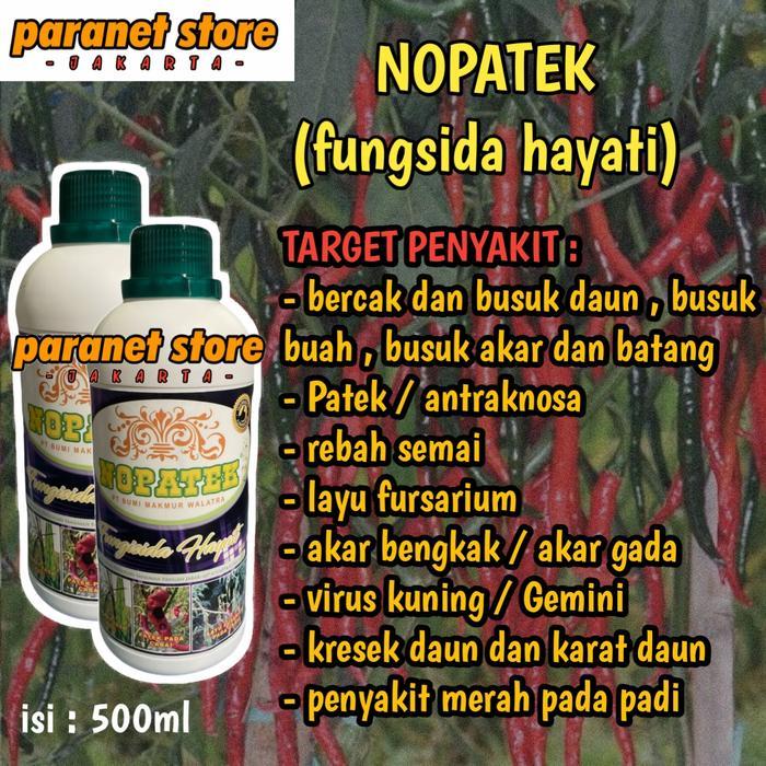 PROMO! nopatek fungisida hayati hama