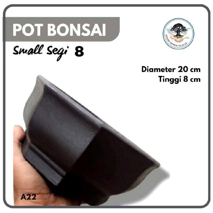 Pot Bonsai Small Segi Delapan Bahan Semen Tanaman Hias Kayu