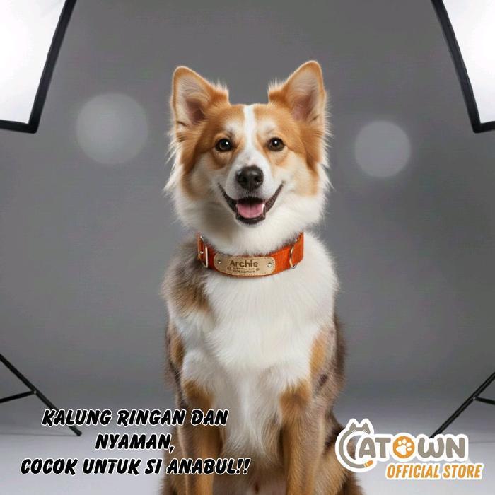 ` Kalung Anjing Custom Nama Tulisan Kalung Anjing Besar Dog Collar Free Custom Kalung Anjing Besar