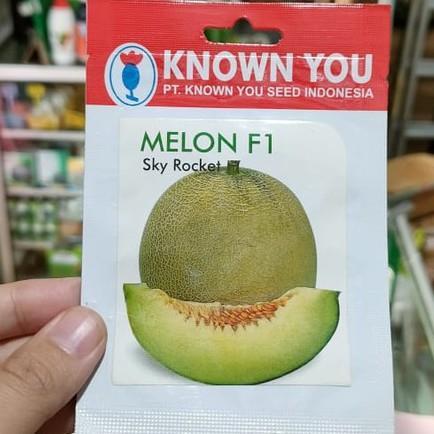 VV benih MELON SKY ROCKET 8 biji - benih melon madu - benih melon