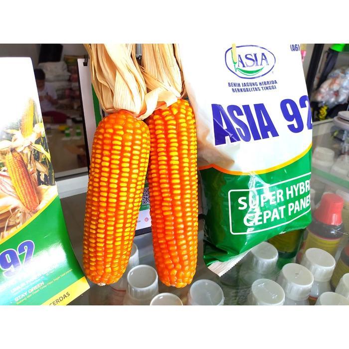 Benih Jagung ASIA 92 Hibrida 1 kg Cepat Panen Tahan Bulai dan Karat