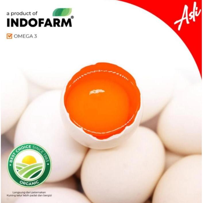 Telur Ayam Kampung Asli (Omega) INDOFARM
