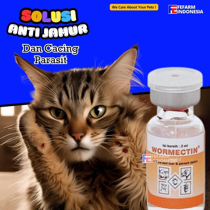 Obat Anti Jamur Kucing 2ml Atasi Kutu Tungau Kudis dan Parasit FEFARM