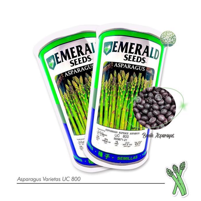 1.000+ Benih Biji - Asparagus F1 Varietas UC800 - TERBUKTI