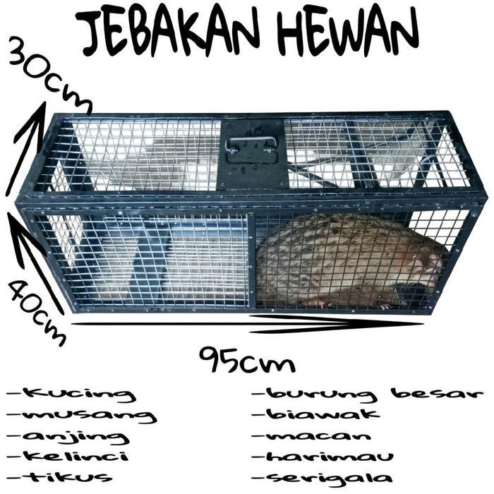 JEBAKAN MUSANG LIAR JEBAKAN TUPAI JEBAKAN ULAR JEBAKAN ANJING JEBAKAN KUCING LIAR JEBAKAN MONYET