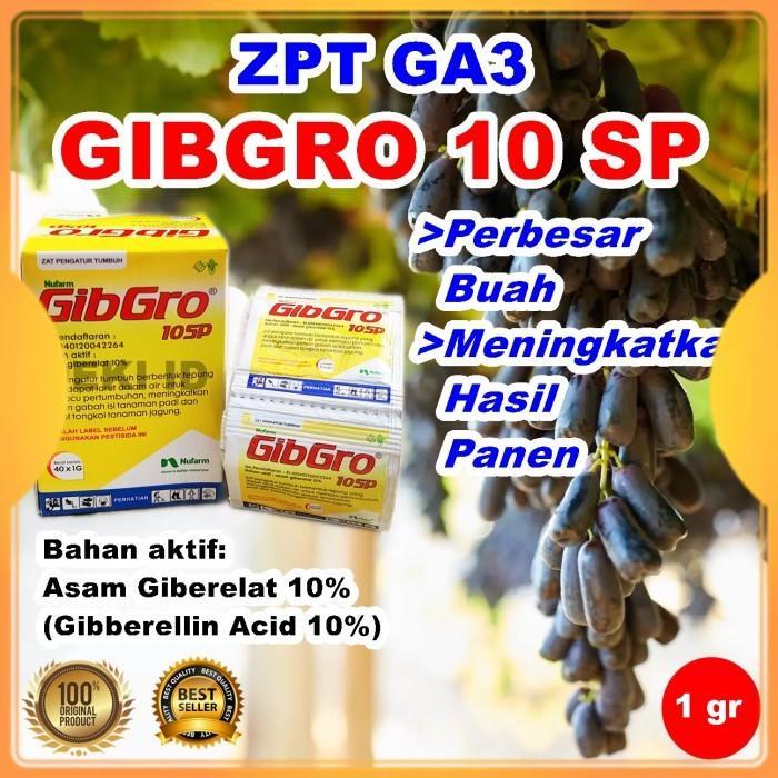 GA3 Gibgro 10 SP Hormon Giberelin Acid ZPT Tanaman Kemasan Sachet GA 3