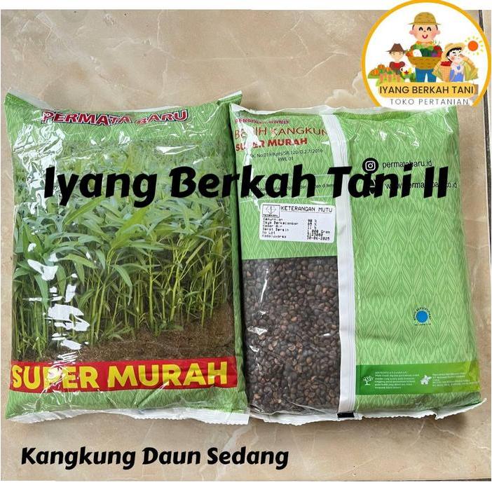 Benih Kangkung Super Kemasan 1 Kg - Bibit Kangkung 1 Kg
