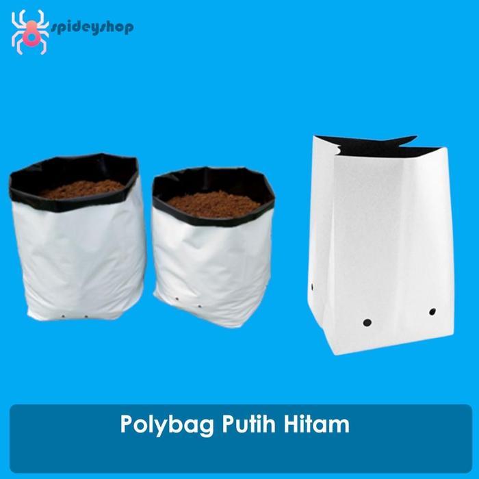 Rabbit_House23 Polibag Polibeg Polybag Putih Hitam 2 Layer 35X35/40X40Cm - Plastik Dual Layer 1 Pack