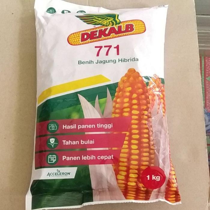 Benih Jagung Hibrida Dekalb DK 771 1Kg by bayer