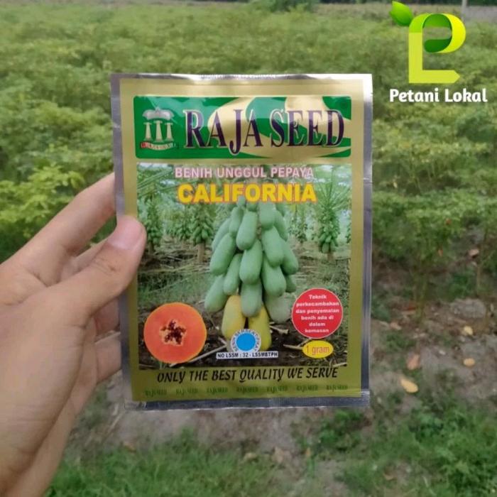 Benih Unggul Pepaya California/Kates California Raja seed 1 gram