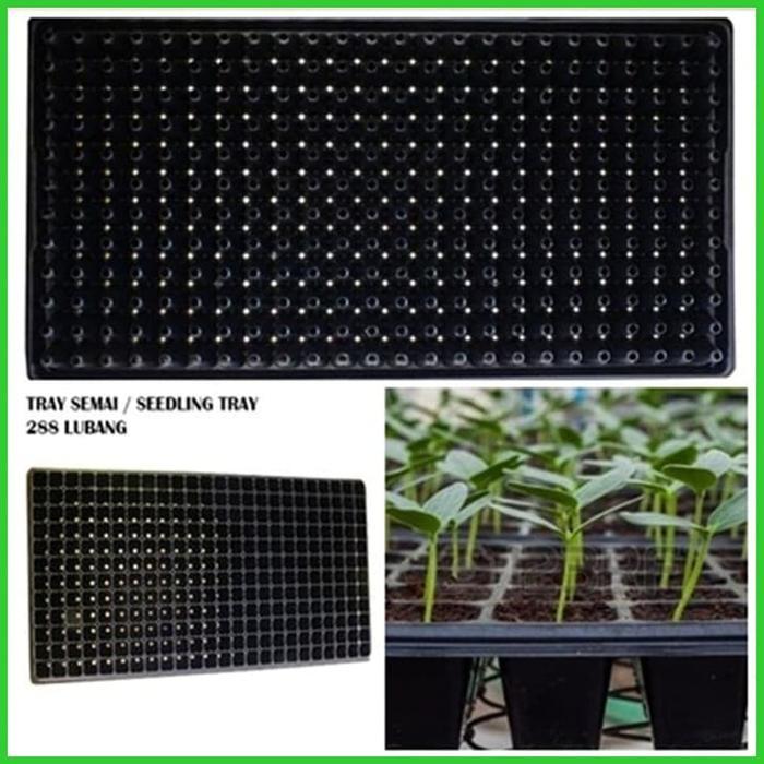 Tray Semai 288 Lubang