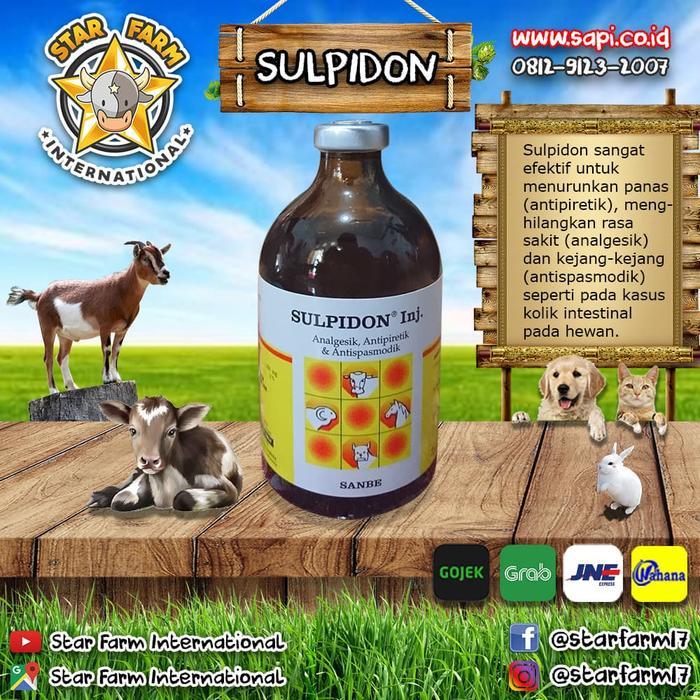 SULPIDON 100 ML SANBE