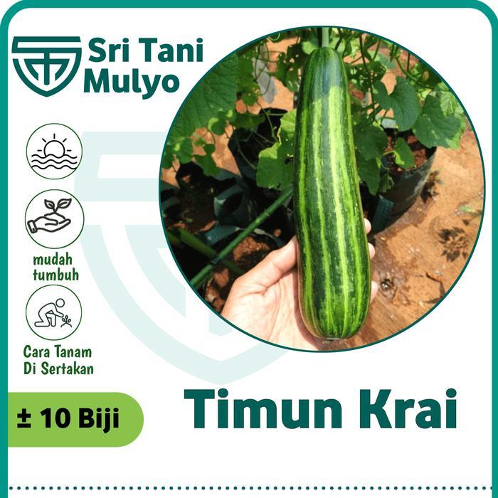 10 Biji - Benih Timun Krai SAFARI - Bibit Timun Unggul Bibit Sayuran Timun Unik Timun Lorek Bibit
