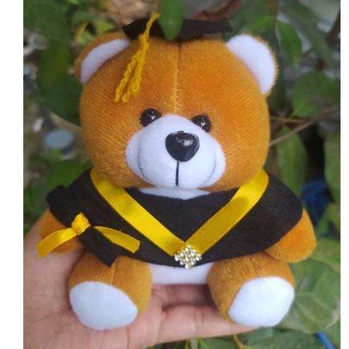 Boneka untuk hiasan bucket/boneka wisuda
