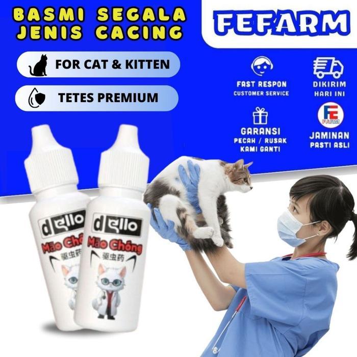Obat Cacing Kucing Ampuh Obat Cacing Anjing Membasmi Cacingan Anabul