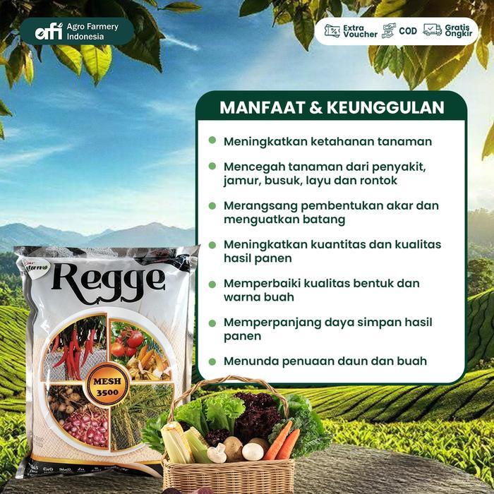 Rabbit_House23 Regge Pupuk Kalsium 1 Kg Original Mesh 3500 Tinggi Kandungan Caco3 98.21% Untuk