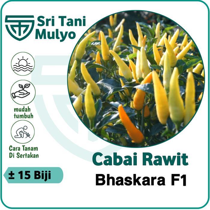 15 Biji - Benih Cabai Rawit Unggul BHASKARA F1 - Cap BISI - Bibit Sayuran Benih Sayuran Cabai Rawit
