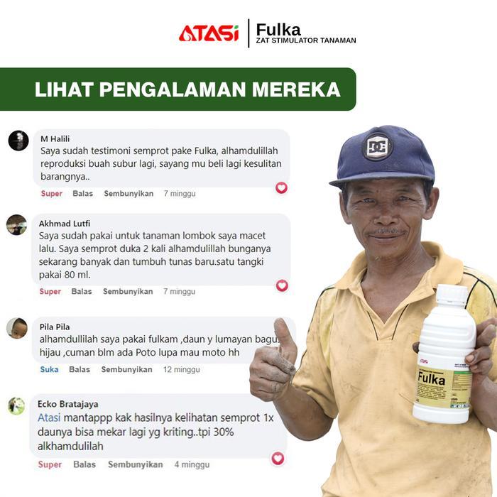 Fulka Zat Stimulator Tanaman Pupuk Penyerap Nutrisi Premium 1010Ml X 3 Best Seller