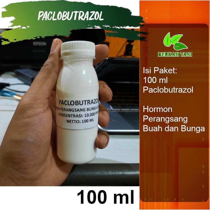 Terangbenderangshop Hormon Murni Paclobutrazol 100 Ml