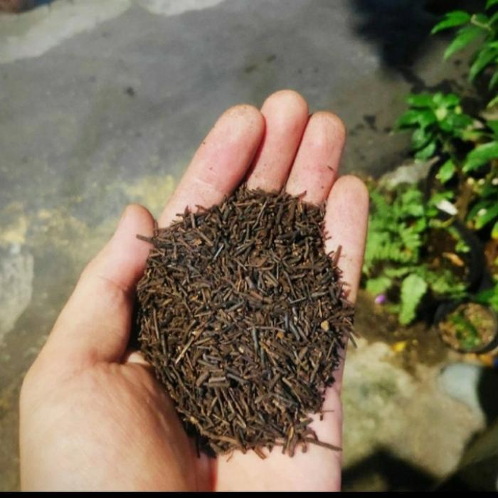 Akar Pakis cacah oven premium