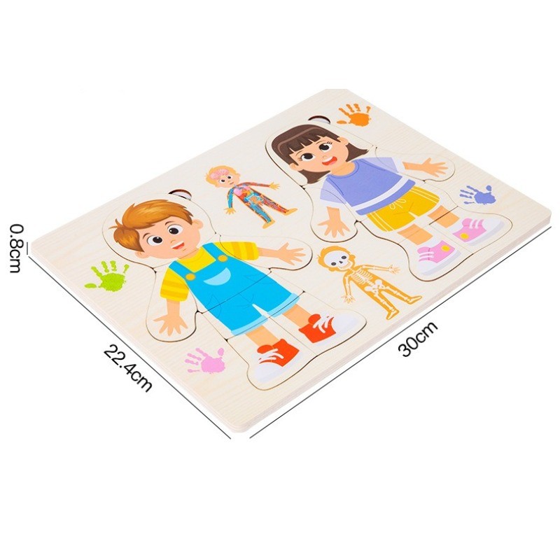 Kid Human Body Structure Puzzle Toy Montessori Wooden Body Organs Learn Tools Boys Girls Anatomy
