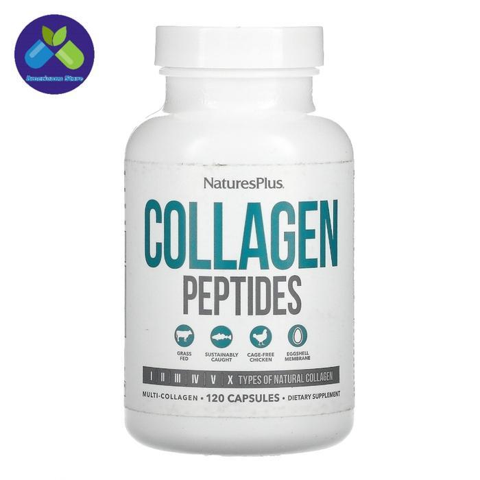 Terlaris  NaturesPlus Collagen Peptides Multi Collagen 120 Capsules, 240 Capsules