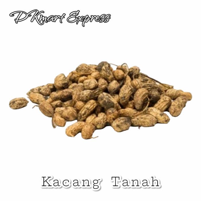 EKSLUSIF kacang tanah mentah 1 kg kacang kulit mentah