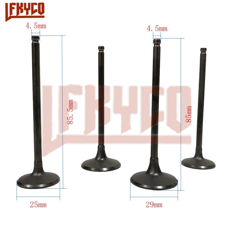 IMPORT Motorcycle Engine Exhaust Valves Inlet Intake Kit for Kawasaki KLX250 KLX300 KLX 250 300