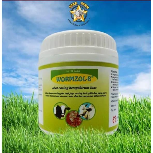 WORMZOL-B 10 BOLUS