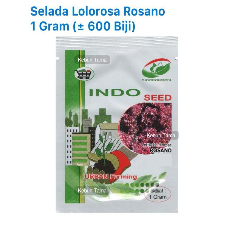 Benih Selada Lolorosa Rosano Keriting Merah Indoseed Enza Zaden