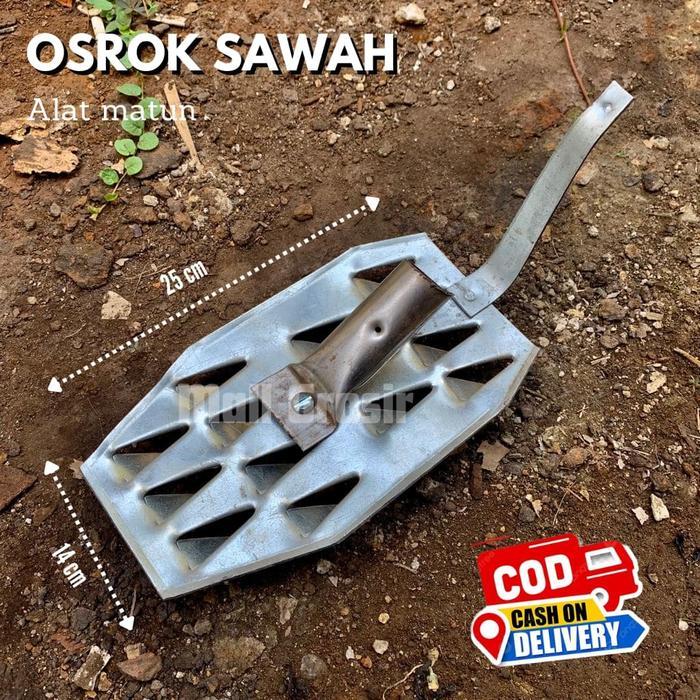 OSROK PENYIANG GULMA PADI - ALAT PEMBASMI GULMA PADI SAWAH - GARUK RUMPUT GULMA PADI BESI