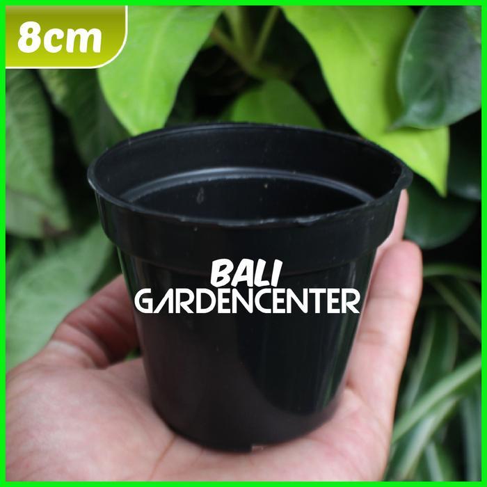 Pot Plastik Hitam 8cm - Pot Untuk Tanaman Ukuran 8Cm
