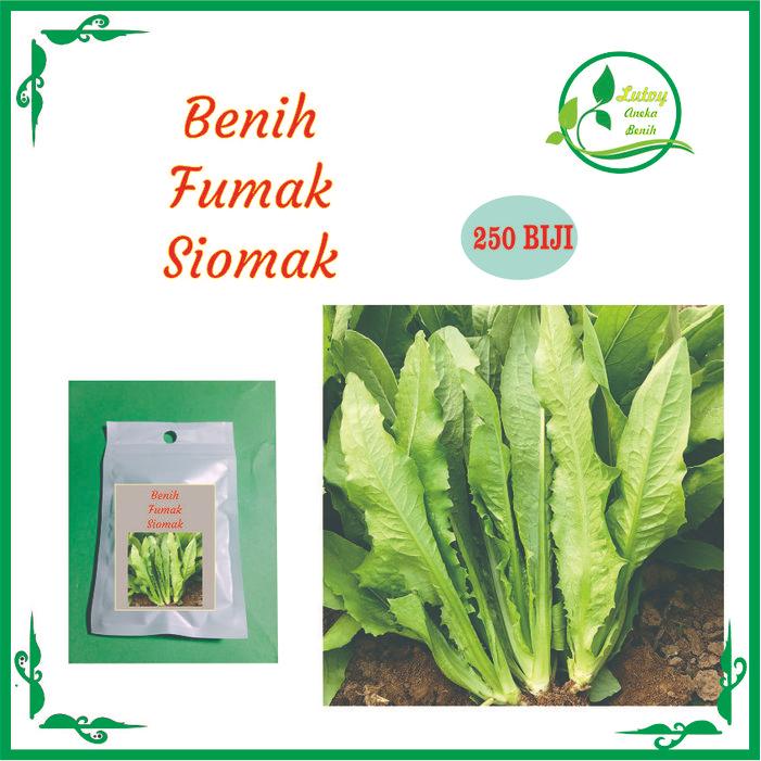 BENIH SAYUR FUMAK ISI 150 BIJI