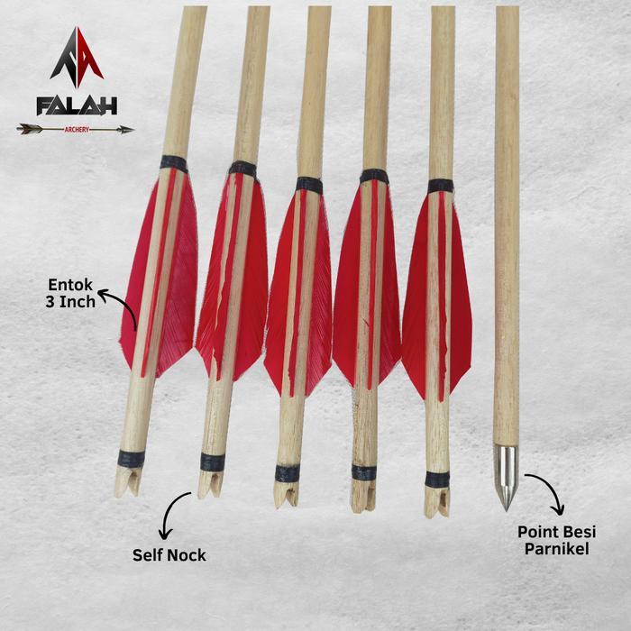 Arrow Anak Vanes Entok / Arrow Anak Isi 6pcs / Arrow Kids / Archery