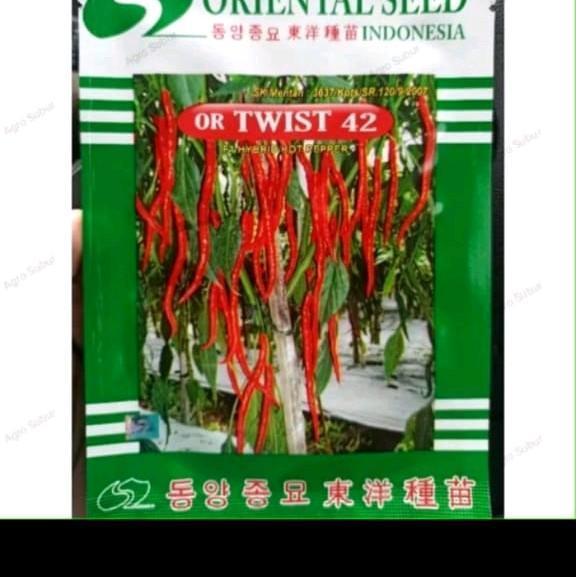 Benih cabe keriting or twist 42 f1 isi 10 gram