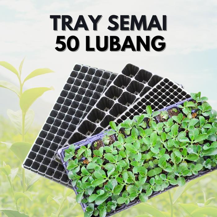 Tray Semai Hidroponik 50 Lubang - Pot Tray Kotak Pembibitan 50 Lubang - Kotak Semai - Pot Trai - Pot
