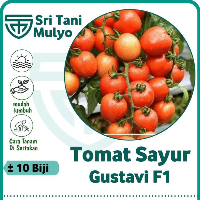 10 Biji - Benih Tomat Unggulan GUSTAVI F1 - Tahan Virus - Bibit Sayuran Benih Sayuran - Servo Kani