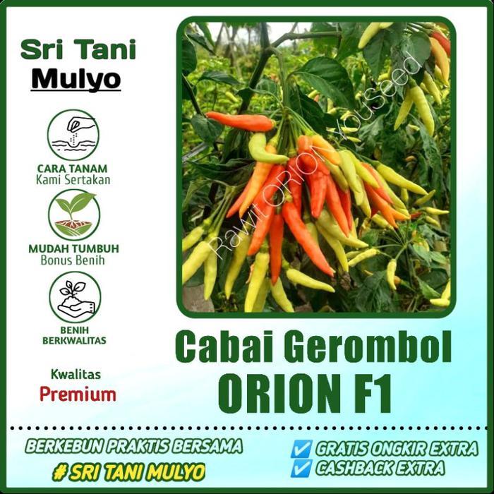 15 Biji - Benih Cabai ORION F1