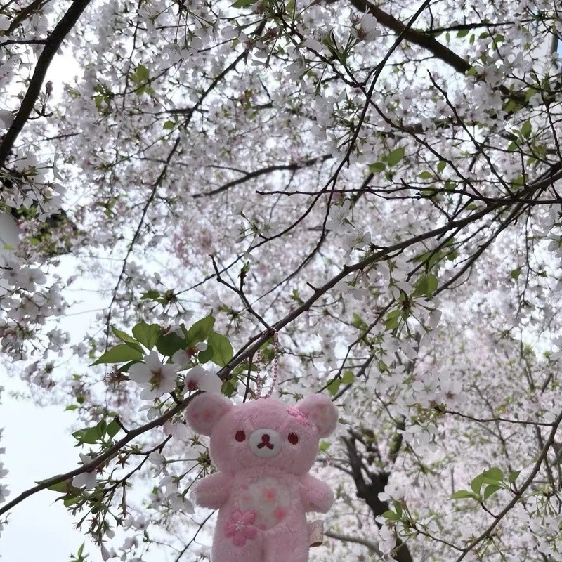 Rilakkuma Sakura Floral Bear Plush Toy Soft Stuffed Cuddly Sleeping Hug Pillow Home Decoration